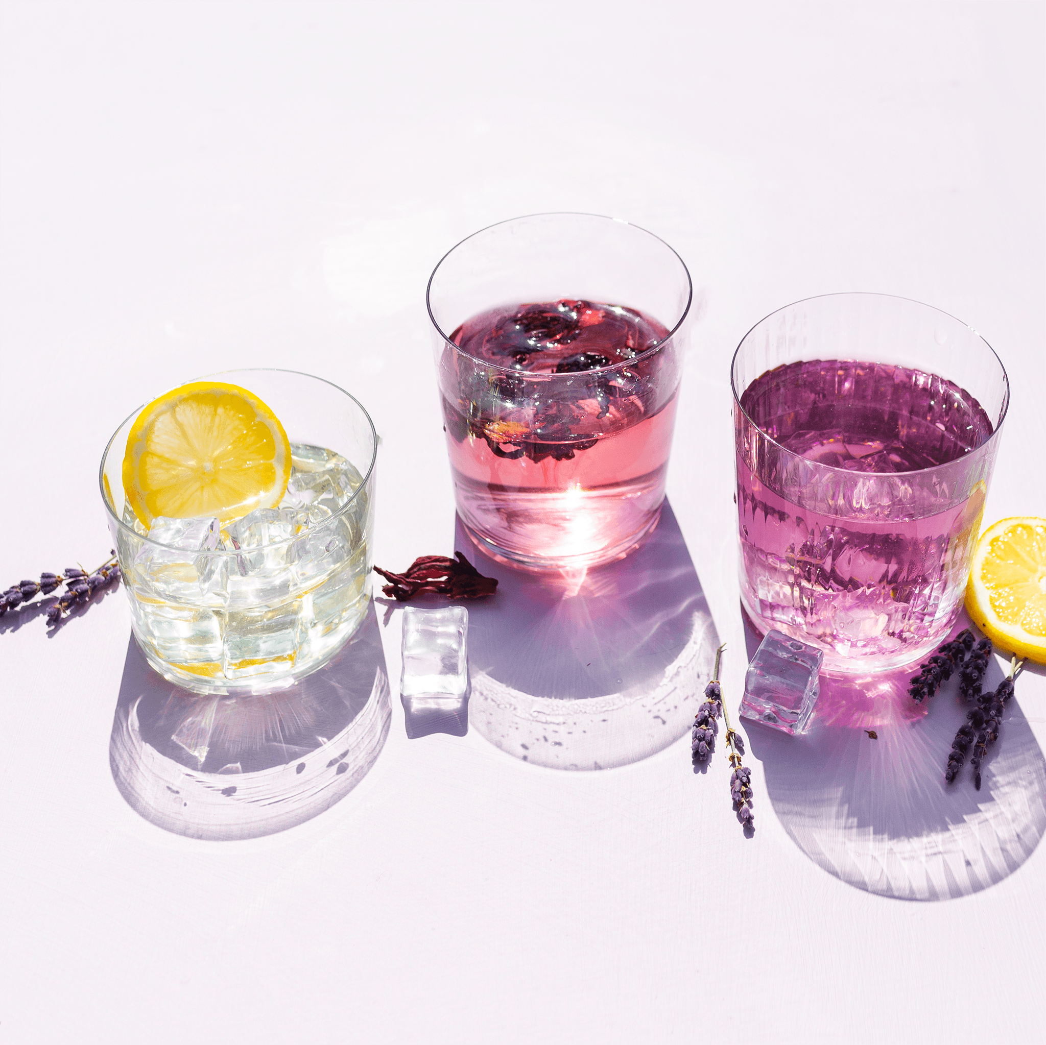 LOOSE LEAF TEA / HIBISCUS TEA BENEFITS - Tealish Fine Teas
