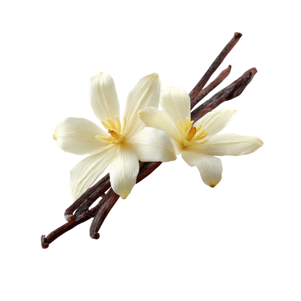 Premium Vanilla 