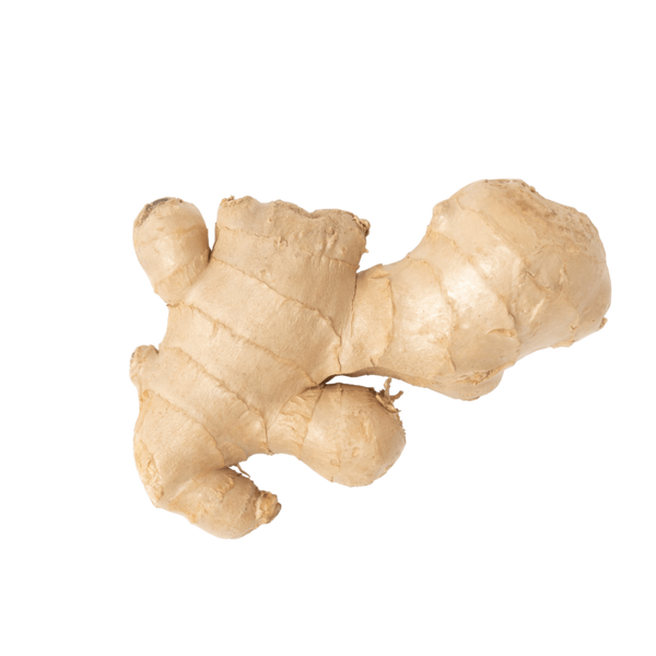 Ginger