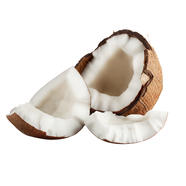 Coconut