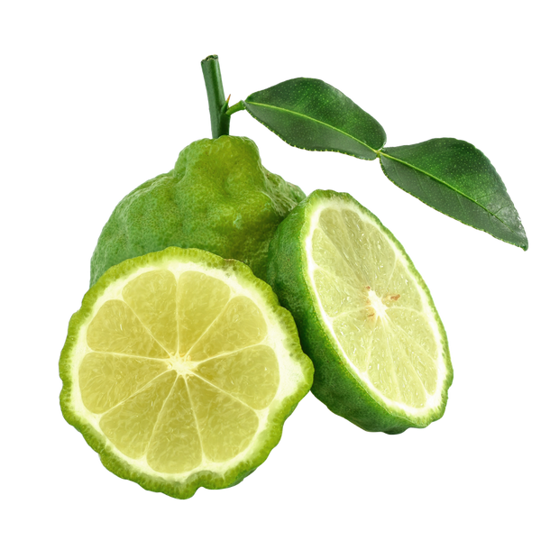 Bergamot 