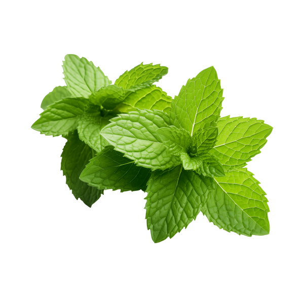 Peppermint