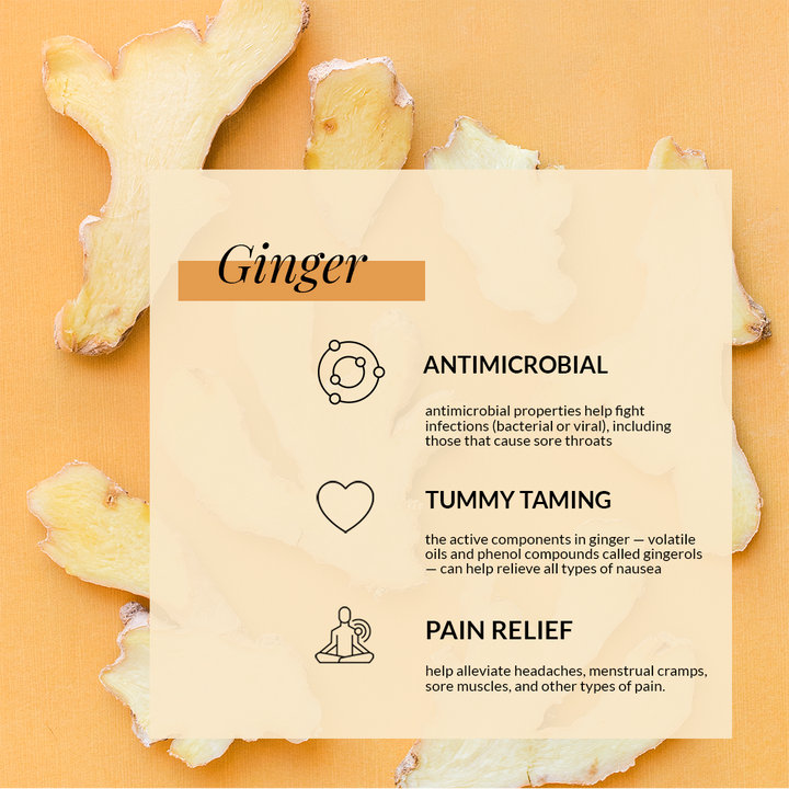 Tealish Organic Ginger Tea benefits
