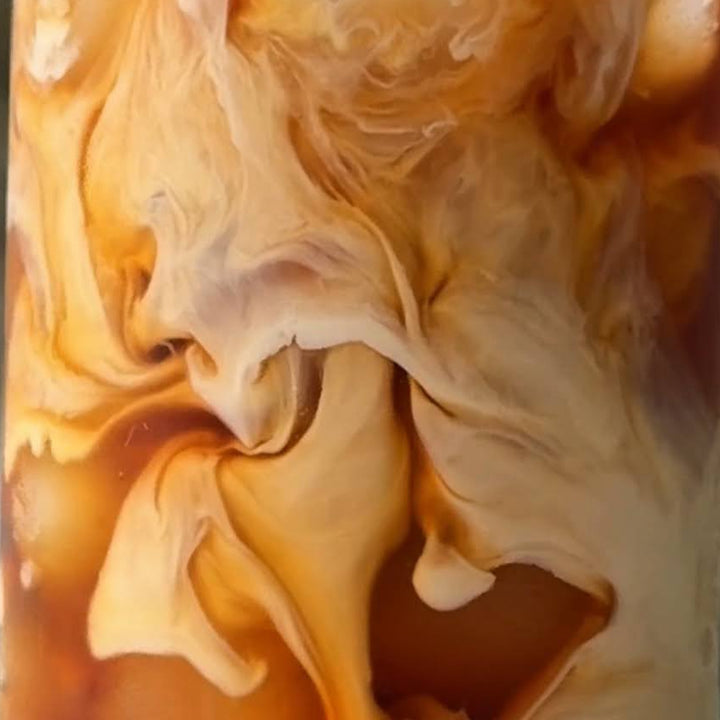 tealish chocolate mint rooibos loose leaf tea tea latte 