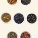 tealish loose leaf tea starter kit bundle