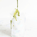 Original Matcha Powder - Tealish Fine Teas